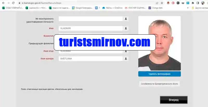 инструкция-заполнения-анкеты-внж-турция-18