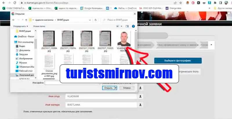 инструкция-заполнения-анкеты-внж-турция-16