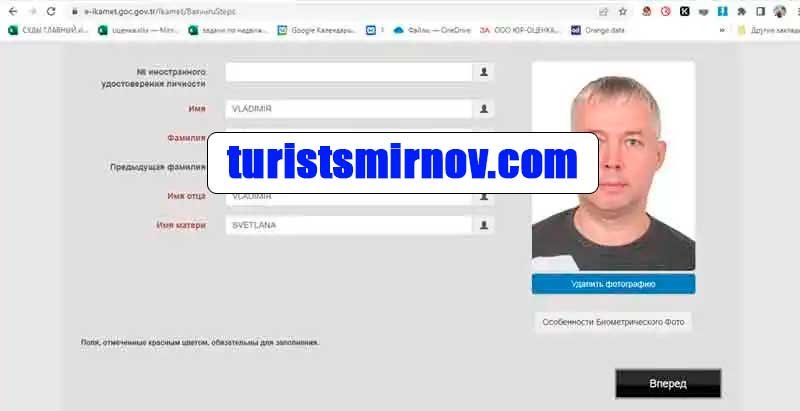 инструкция-заполнения-анкеты-внж-турция-18